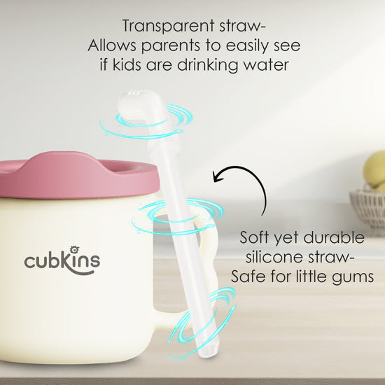 Dual Tone Sippy Cup rasberry