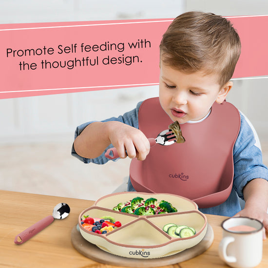 A 4 compartments Plate + Lightweight, easily foldable food catcher + High Quality Steel Head Spoon and Fork | Silicone baby feeding product | Zero Plastic