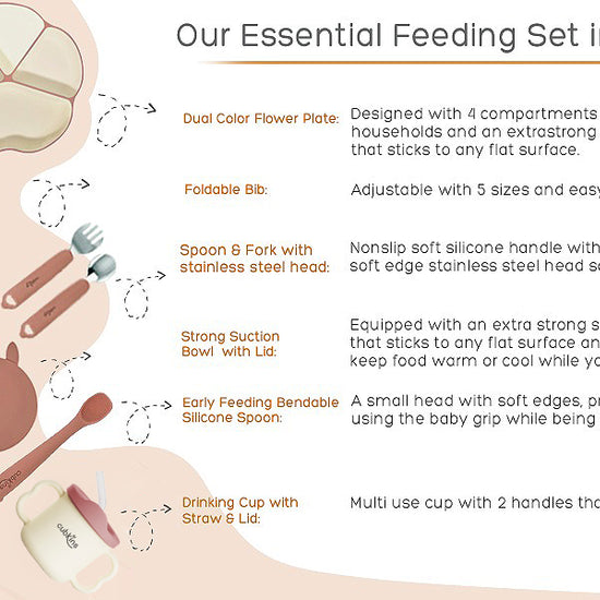 Product Information Raspberry Dual Tone feeding set